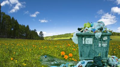 Bilden visar en stor, överfull soptunna med burkar och skräp. Den står mitt på en öppen och vacker äng med fina blommor.
